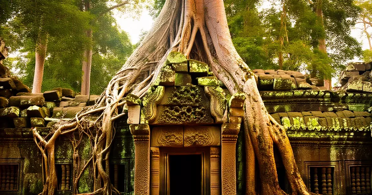 ប្រាសាទតាព្រហ្ម ជ្រោយព្រៃ ខេត្តសៀមរាប