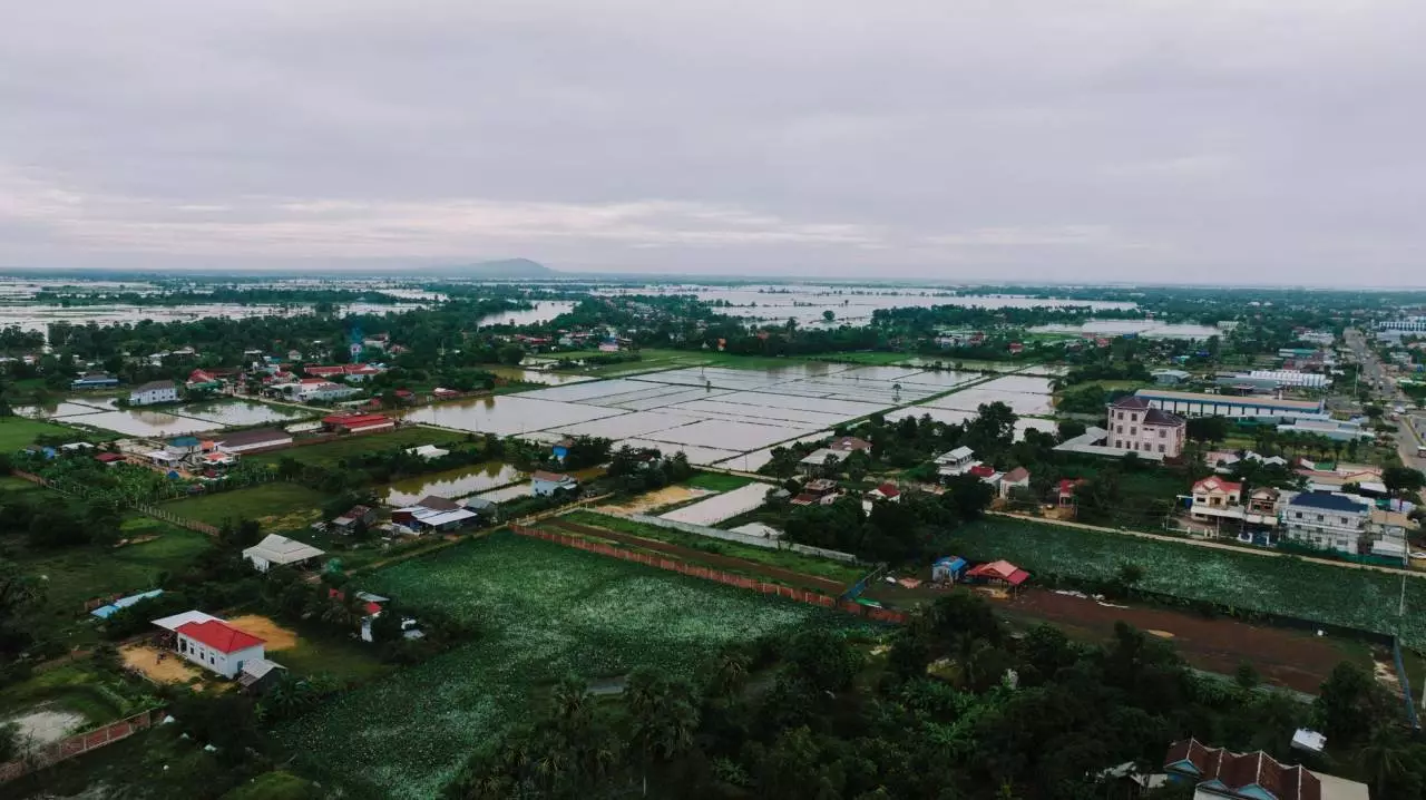 ទេសភាពដំណាំស្រែ និងភូមិជនបទ