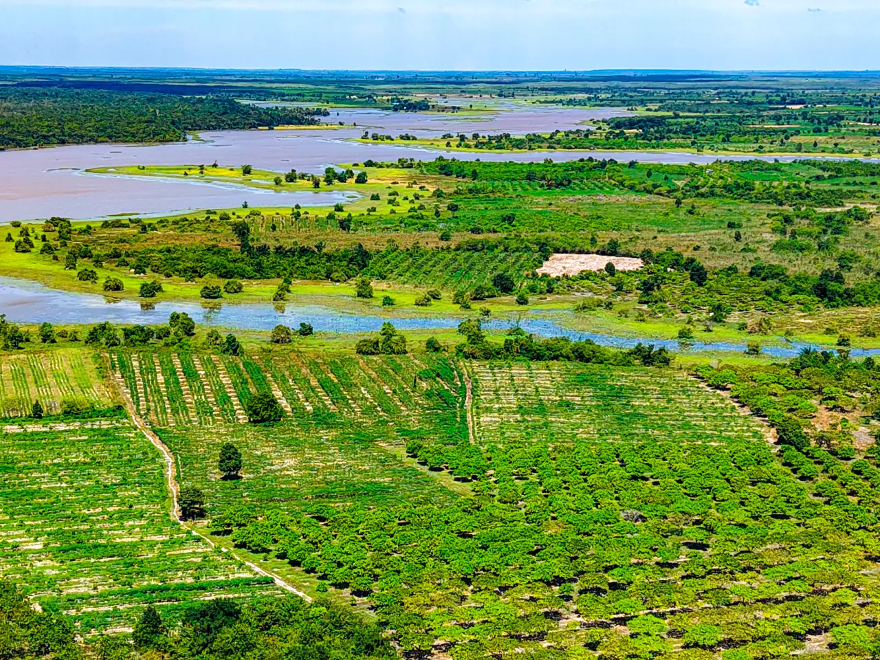 វាលស្រែ​ ​ ​ ​ ​ ​ ​